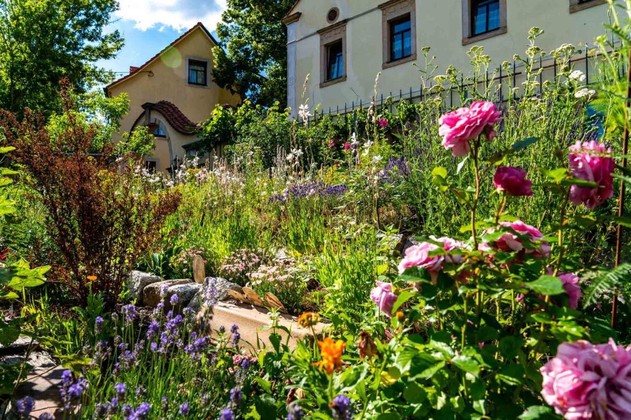Landhotel Gut Wildberg Meissen Ngoại thất bức ảnh